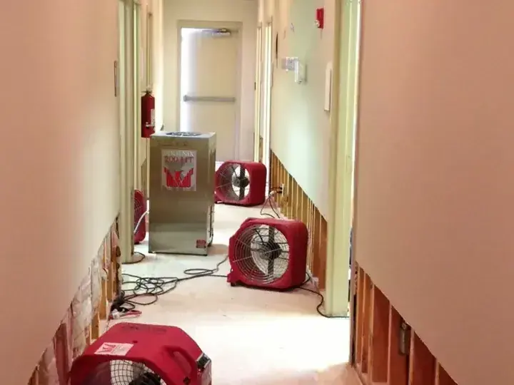Flood cut along a hallway with air movers drying the open wall cavities